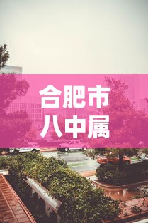 合肥市八中属于哪个区/合肥市八中运河校区怎么样 合肥市八中属于哪个区/合肥市八中运河校区怎么样