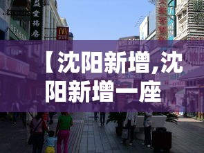 【沈阳新增,沈阳新增一座交通桥 就在鸟岛南侧】