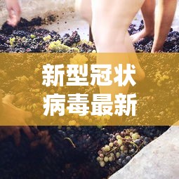 新型冠状病毒最新疫情西宁/西宁疫情最新进展