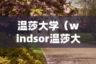 温莎大学（windsor温莎大学）