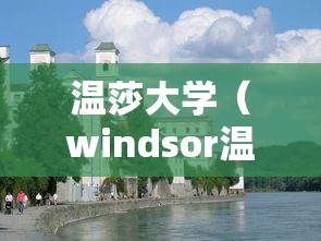 温莎大学（windsor温莎大学）