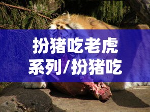 扮猪吃老虎系列/扮猪吃老虎系列视频老赵闹健身 扮猪吃老虎系列/扮猪吃老虎系列视频老赵闹健身