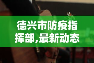 德兴市防疫指挥部,最新动态/德兴市各局局长最新动态
