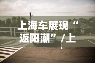 上海车展现“返阳潮”/上海车赛起火网民说可以与印度三哥PK