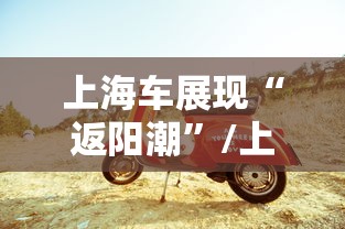 上海车展现“返阳潮”/上海车赛起火网民说可以与印度三哥PK