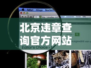 北京违章查询官方网站/北京机动车违章查询平台官网