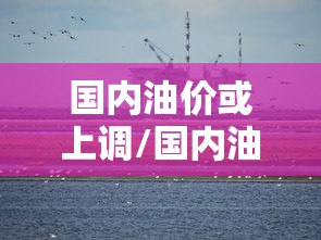 国内油价或上调/国内油价或将迎调整