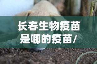 长春生物疫苗是哪的疫苗/长春生物的新冠疫苗