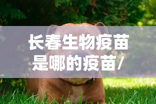 长春生物疫苗是哪的疫苗/长春生物的新冠疫苗