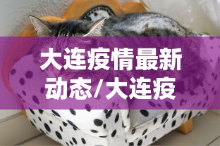 大连疫情最新动态/大连疫情过去4年