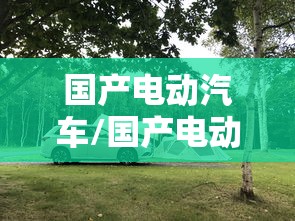 国产电动汽车/国产电动汽车哪个品牌最好