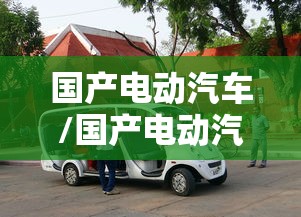 国产电动汽车/国产电动汽车哪个品牌最好