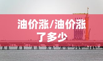 油价涨/油价涨了多少