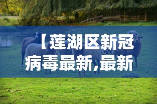 【莲湖区新冠病毒最新,最新莲湖区五一村】