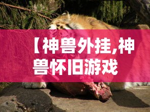 【神兽外挂,神兽怀旧游戏】 【神兽外挂,神兽怀旧游戏】
