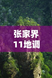 张家界11地调整为中风险:张家界这些地方要征收了 张家界11地调整为中风险:张家界这些地方要征收了