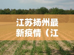 江苏扬州最新疫情（江苏扬州即将大爆发）
