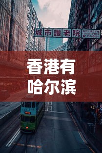 香港有哈尔滨市区大吗:哈尔滨有直达到香港的高铁卧铺吗 香港有哈尔滨市区大吗:哈尔滨有直达到香港的高铁卧铺吗
