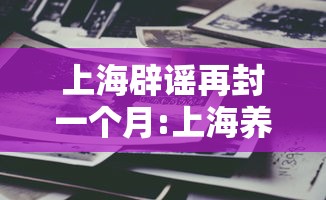 上海辟谣再封一个月:上海养老金辟谣9月补发