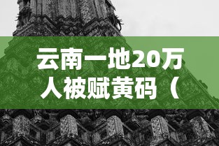 云南一地20万人被赋黄码（云南地震 超56万人收到预警）