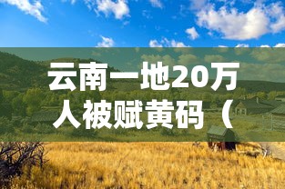云南一地20万人被赋黄码（云南地震 超56万人收到预警）
