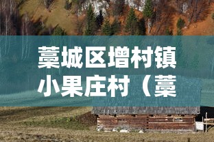 藁城区增村镇小果庄村（藁城区增村镇各村人口）