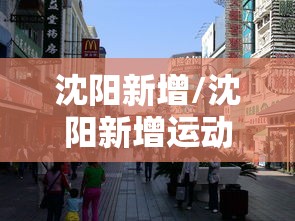 沈阳新增/沈阳新增运动公园