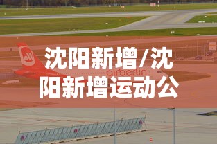沈阳新增/沈阳新增运动公园