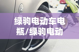 绿驹电动车电瓶/绿驹电动车电瓶接线图