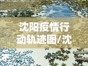 沈阳疫情行动轨迹图/沈阳疫情感染链 沈阳疫情行动轨迹图/沈阳疫情感染链