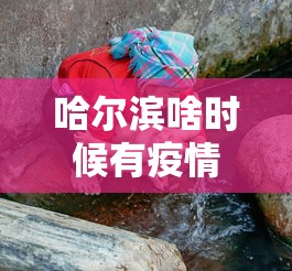 哈尔滨啥时候有疫情的/哈尔滨疫情开始与结束的时间