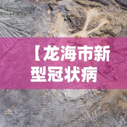 【龙海市新型冠状病毒/龙海市新型冠状病毒病例】