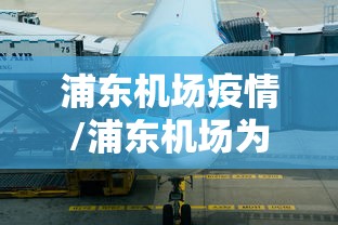 浦东机场疫情/浦东机场为何如此低效