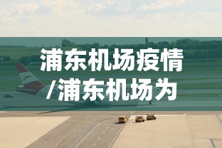 浦东机场疫情/浦东机场为何如此低效