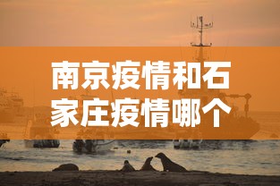 南京疫情和石家庄疫情哪个严重/石家庄疫情解封是哪一年的