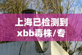 上海已检测到xbb毒株/专家称新毒株是常见病毒
