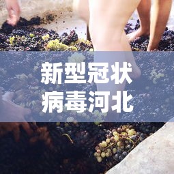 新型冠状病毒河北/新型冠状病毒感染北京 新型冠状病毒河北/新型冠状病毒感染北京