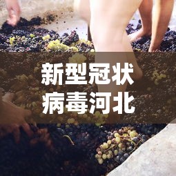 新型冠状病毒河北/新型冠状病毒视频