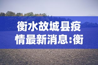 衡水故城县疫情最新消息:衡水故城县疫情最新消息今天