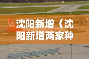 沈阳新增（沈阳新增两家种子潜在独角兽企业）