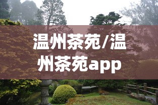温州茶苑/温州茶苑app