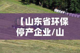 【山东省环保停产企业/山东省环保停产企业有多少】