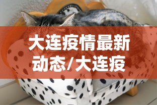 大连疫情最新动态/大连疫情最新动态本地人家是女