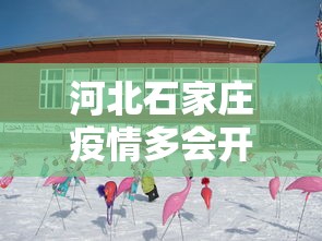 河北石家庄疫情多会开始的/石家庄疫情哪年封城 河北石家庄疫情多会开始的/石家庄疫情哪年封城