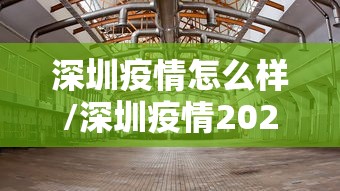 深圳疫情怎么样/深圳疫情2026