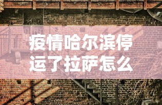 疫情哈尔滨停运了拉萨怎么办（拉萨感冒了要警惕几天）