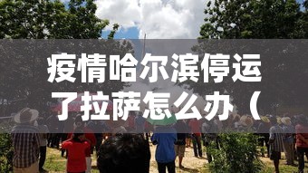 疫情哈尔滨停运了拉萨怎么办（拉萨感冒了要警惕几天）