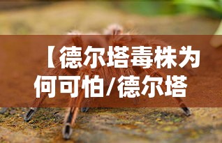 【德尔塔毒株为何可怕/德尔塔毒株排行榜】 【德尔塔毒株为何可怕/德尔塔毒株排行榜】