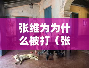张维为为什么被打（张维为文一被驳斥）