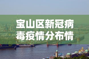 宝山区新冠病毒疫情分布情况:宝山区新冠病毒疫情分布情况图